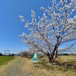 20250410T1.JPG